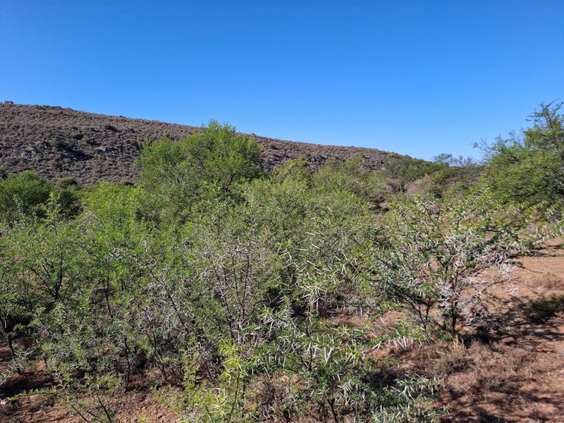 Farm For Sale in Riversdale Rural, Riversdale - Photo 10