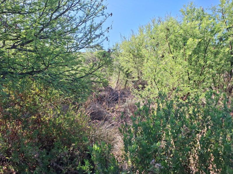 Farm For Sale in Riversdale Rural, Riversdale - Photo 8