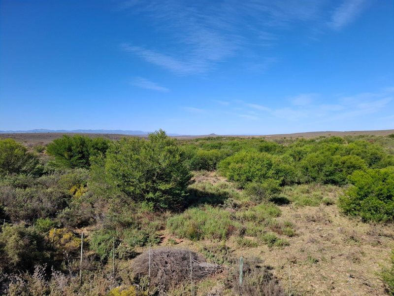 Farm For Sale in Riversdale Rural, Riversdale - Photo 7