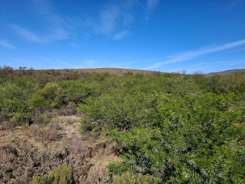 Farm For Sale in Riversdale Rural, Riversdale - Photo 6