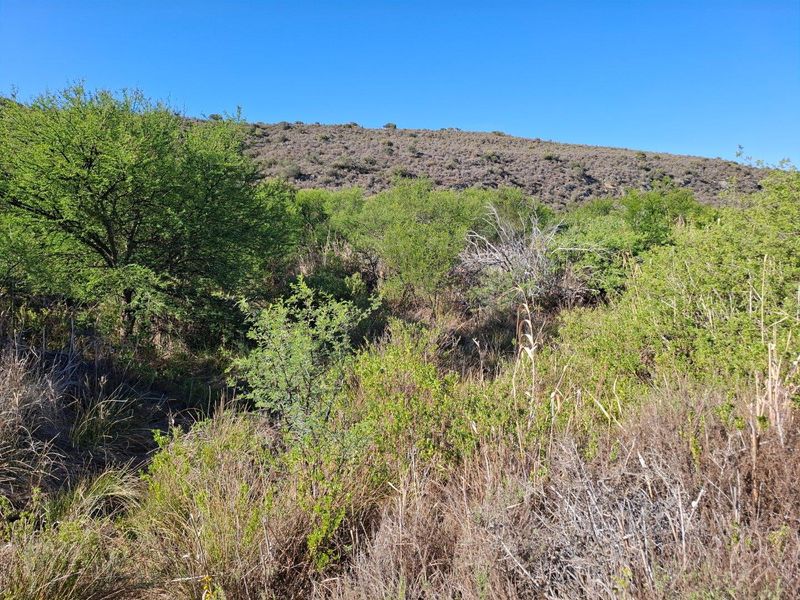 Farm For Sale in Riversdale Rural, Riversdale - Photo 3