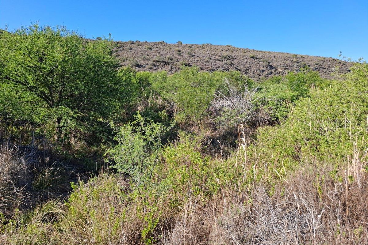 Farm For Sale in Riversdale Rural, Riversdale - Photo 3