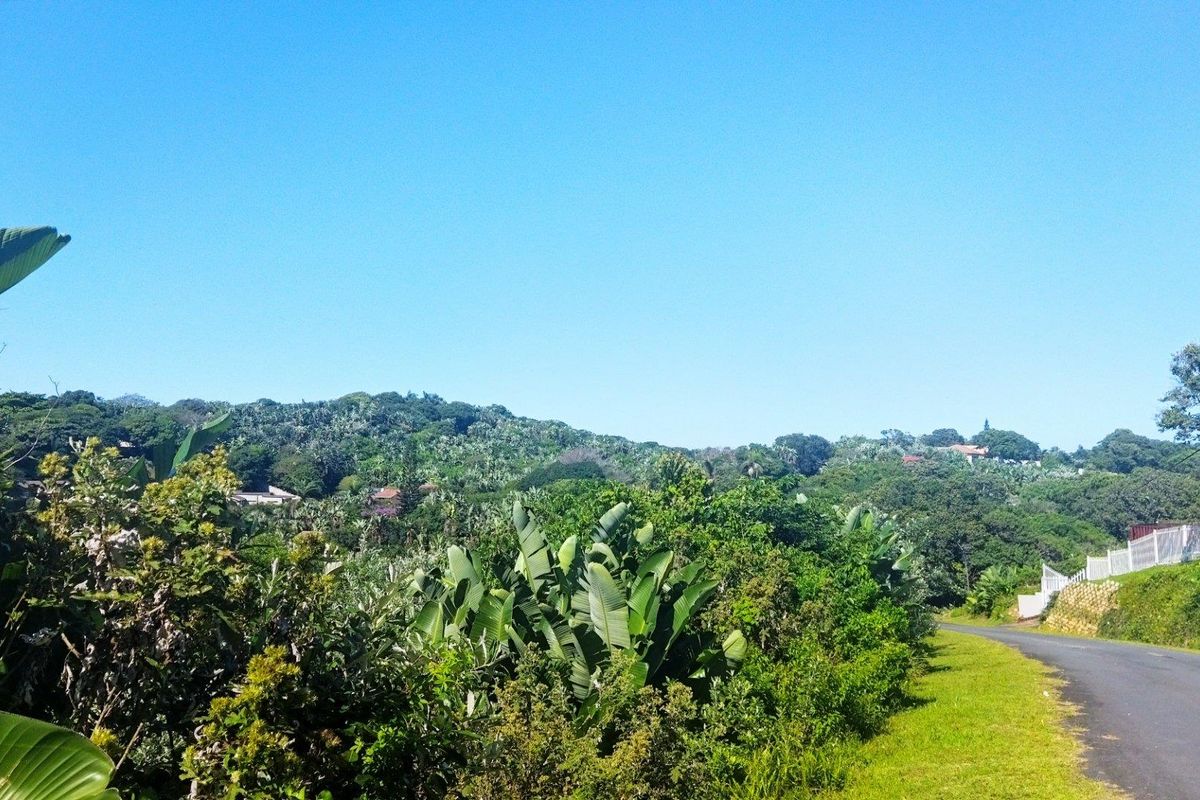 Sea View Vacant Land For Sale in Trafalgar, KwaZulu Natal - Photo 3