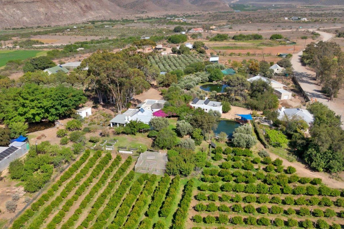 Farm For Sale in Van Wyksdorp, Ladismith - Photo 4