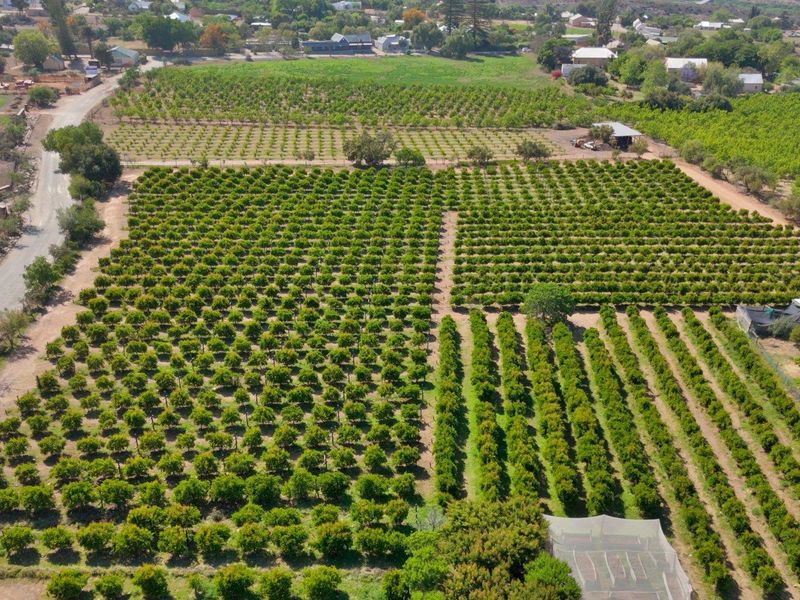 Farm For Sale in Van Wyksdorp, Ladismith - Photo 2