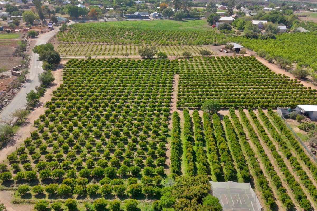 Farm For Sale in Van Wyksdorp, Ladismith - Photo 2