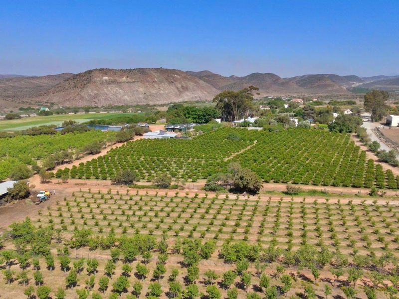 Farm For Sale in Van Wyksdorp, Ladismith - Photo 6