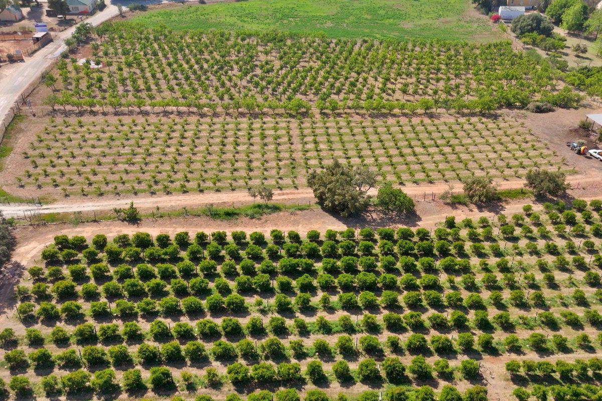 Farm For Sale in Van Wyksdorp, Ladismith - Photo 3