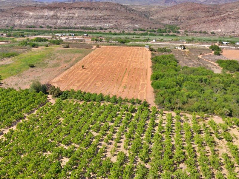 Farm For Sale in Van Wyksdorp, Ladismith - Photo 5