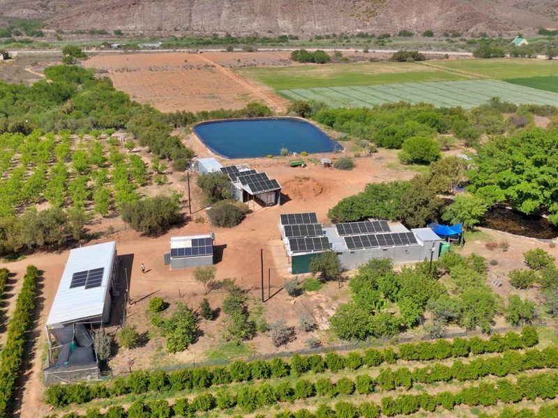 Farm For Sale in Van Wyksdorp, Ladismith - Photo 10