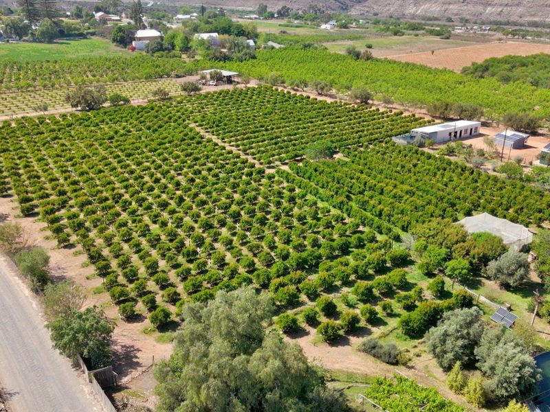 Farm For Sale in Van Wyksdorp, Ladismith - Photo 9