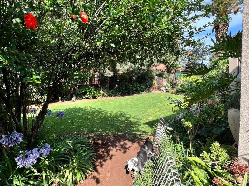 Jem of a home in the hart of Brakpan CBD - Photo 7