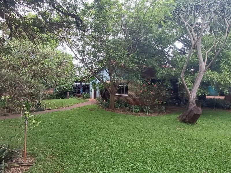 Tranquil 3 bedroom haven with indigenous garden and sparkling new pool - Photo 9