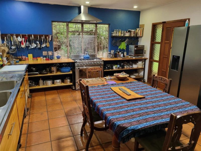 Tranquil 3 bedroom haven with indigenous garden and sparkling new pool - Photo 7