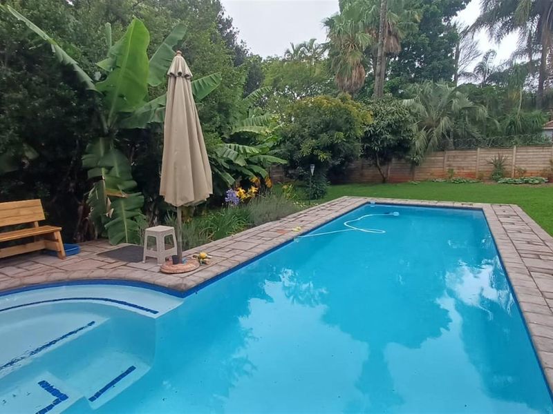 Tranquil 3 bedroom haven with indigenous garden and sparkling new pool - Photo 5