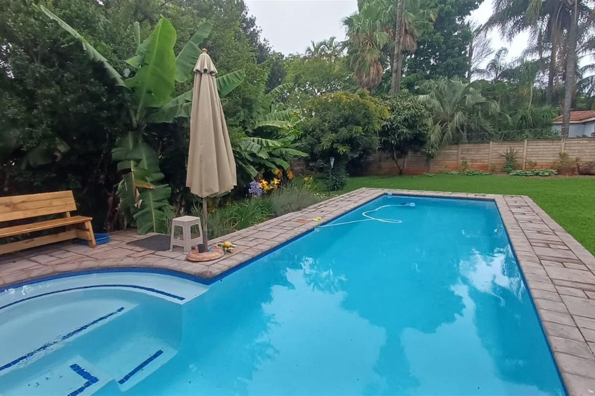 Tranquil 3 bedroom haven with indigenous garden and sparkling new pool - Photo 5