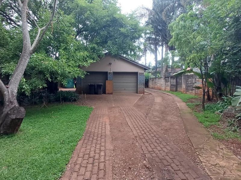 Tranquil 3 bedroom haven with indigenous garden and sparkling new pool - Photo 2