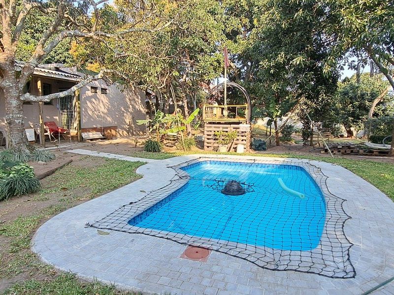 A backyard area featuring a swimming pool with a safety net, surrounded by mature trees and a paved pool deck.