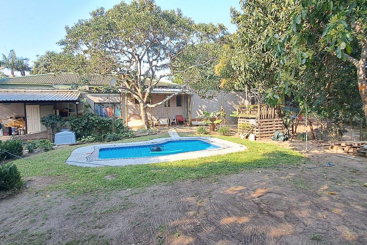 Rear view of the property featuring a swimming pool, covered patio area, and established garden with mature trees.
