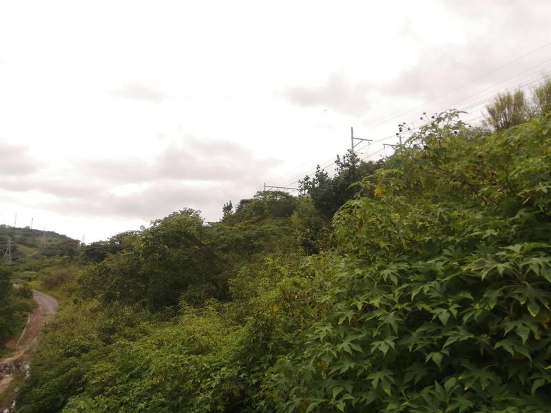 Vacant Land For Sale in Shallcross, Chatsworth, KwaZulu Natal - Photo 5