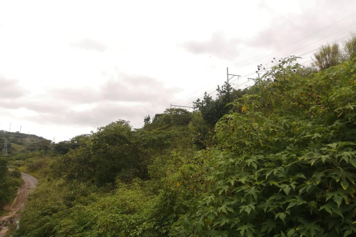 Vacant Land For Sale in Shallcross, Chatsworth, KwaZulu Natal - Photo 5