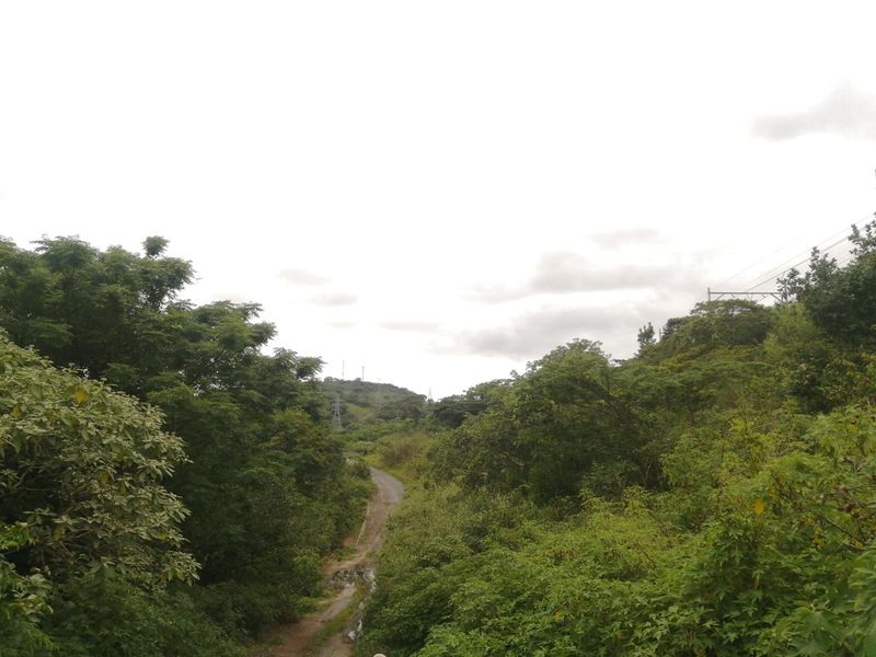 Vacant Land For Sale in Shallcross, Chatsworth, KwaZulu Natal - Photo 4