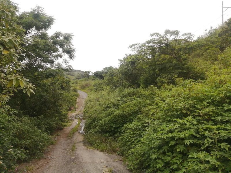 Vacant Land For Sale in Shallcross, Chatsworth, KwaZulu Natal - Photo 3