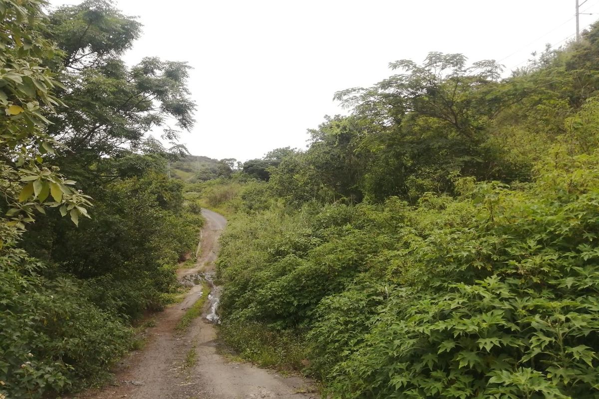 Vacant Land For Sale in Shallcross, Chatsworth, KwaZulu Natal - Photo 3