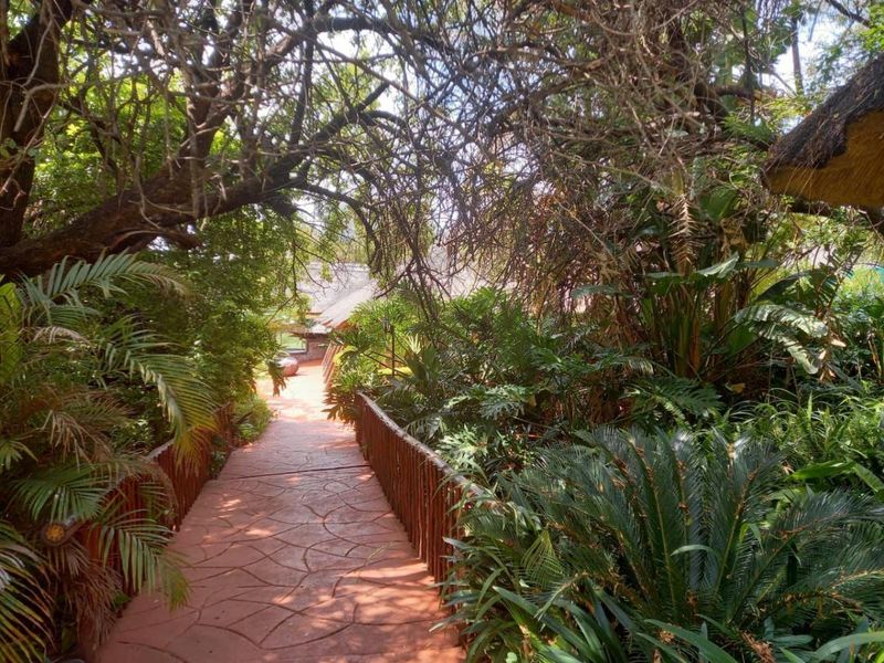 Farm For Sale in Mookgopong Rural, Mookgopong - Photo 3