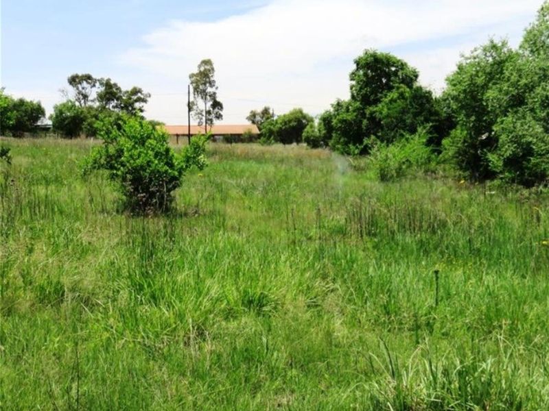 Vacant Land For Sale in Oranjeville - Photo 5
