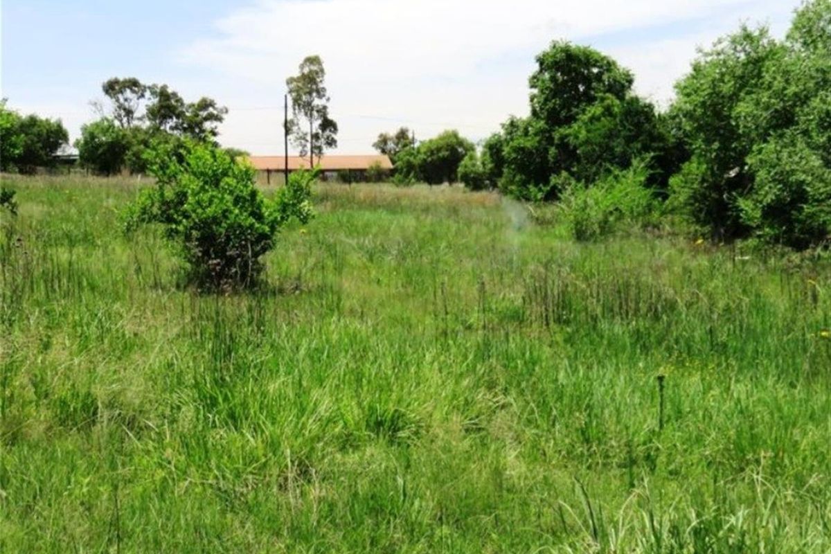 Vacant Land For Sale in Oranjeville - Photo 5