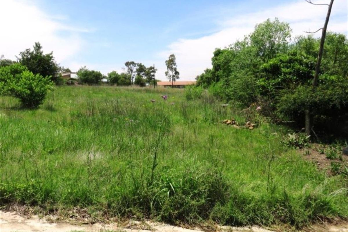 Vacant Land For Sale in Oranjeville - Photo 2