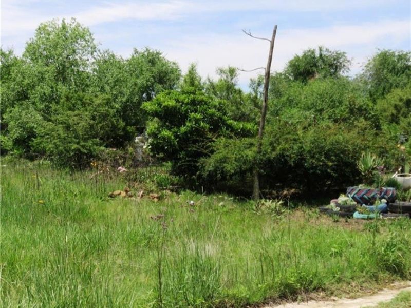 Vacant Land For Sale in Oranjeville - Photo 4