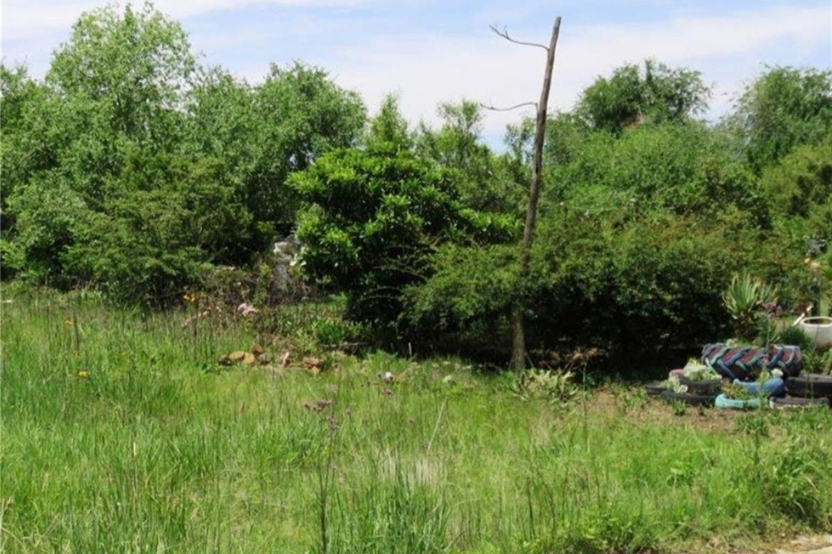 Vacant Land For Sale in Oranjeville - Photo 4