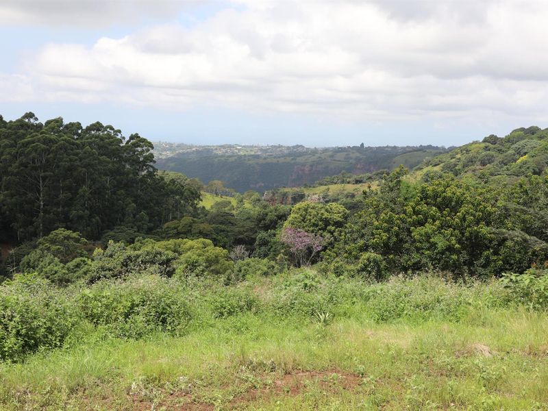 3 Bedroom House in Forest Hills - Photo 7