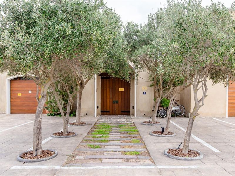 Front entrance of the property featuring a paved driveway, stone walkway, mature olive trees, and double wooden doors.