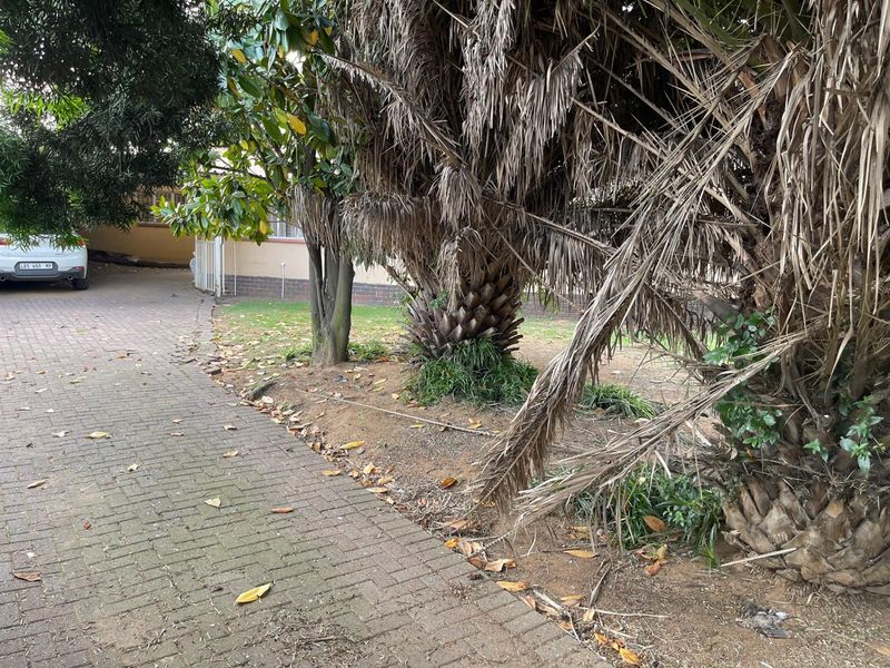 A view of the property's driveway and garden area featuring mature trees and paved surfaces requiring maintenance and landscaping.