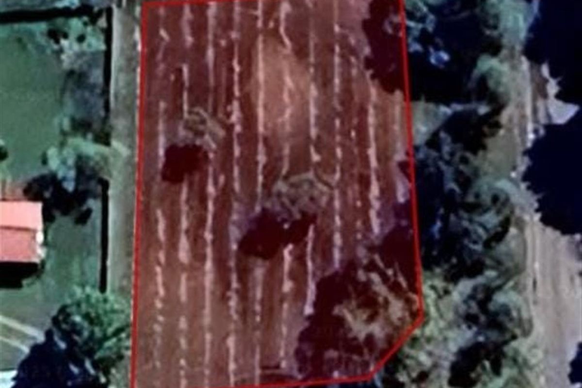 An aerial view of a vacant residential plot featuring mature trees and defined boundary lines.