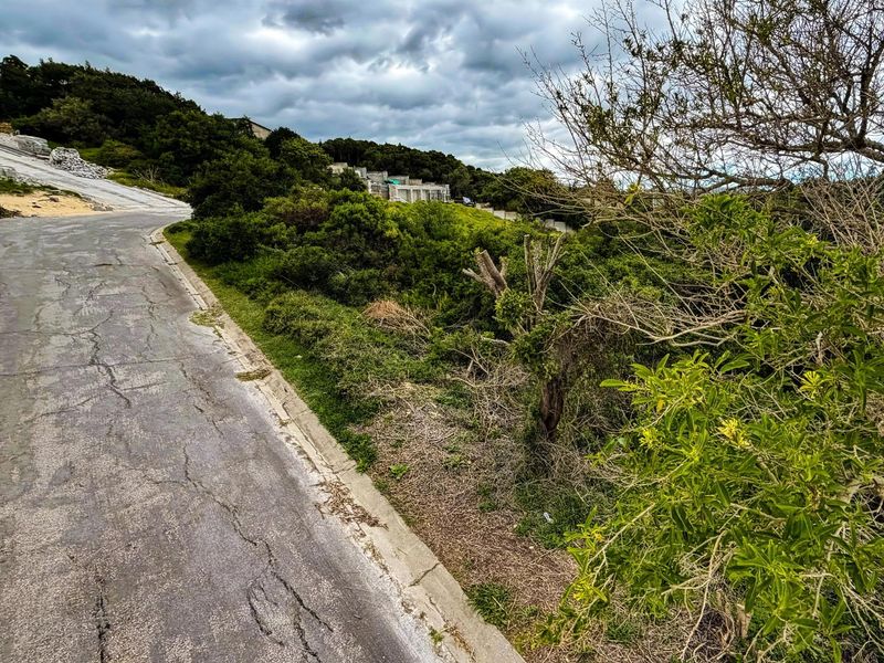 Priced to Sell! Prime Land for Sale in Blue Horizon Bay | Listed by Danté Koen, eXp Realty - Photo 4