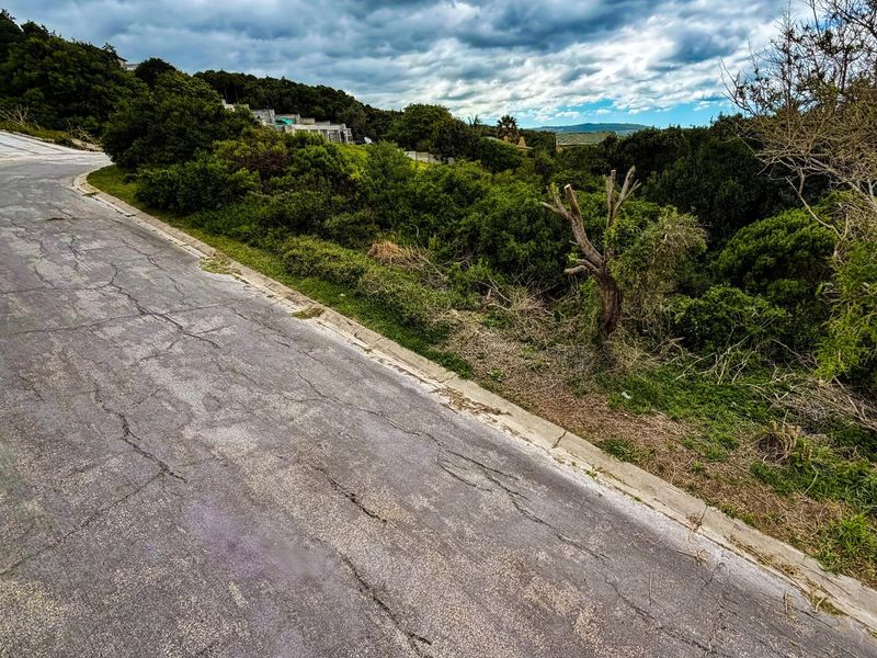 Priced to Sell! Prime Land for Sale in Blue Horizon Bay | Listed by Danté Koen, eXp Realty - Photo 3