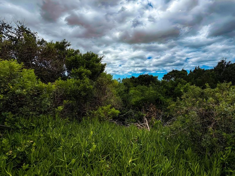 Priced to Sell! Prime Land for Sale in Blue Horizon Bay | Listed by Danté Koen, eXp Realty - Photo 6