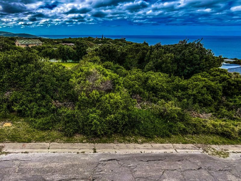 A view of a vacant residential plot featuring dense coastal vegetation and a scenic ocean backdrop.