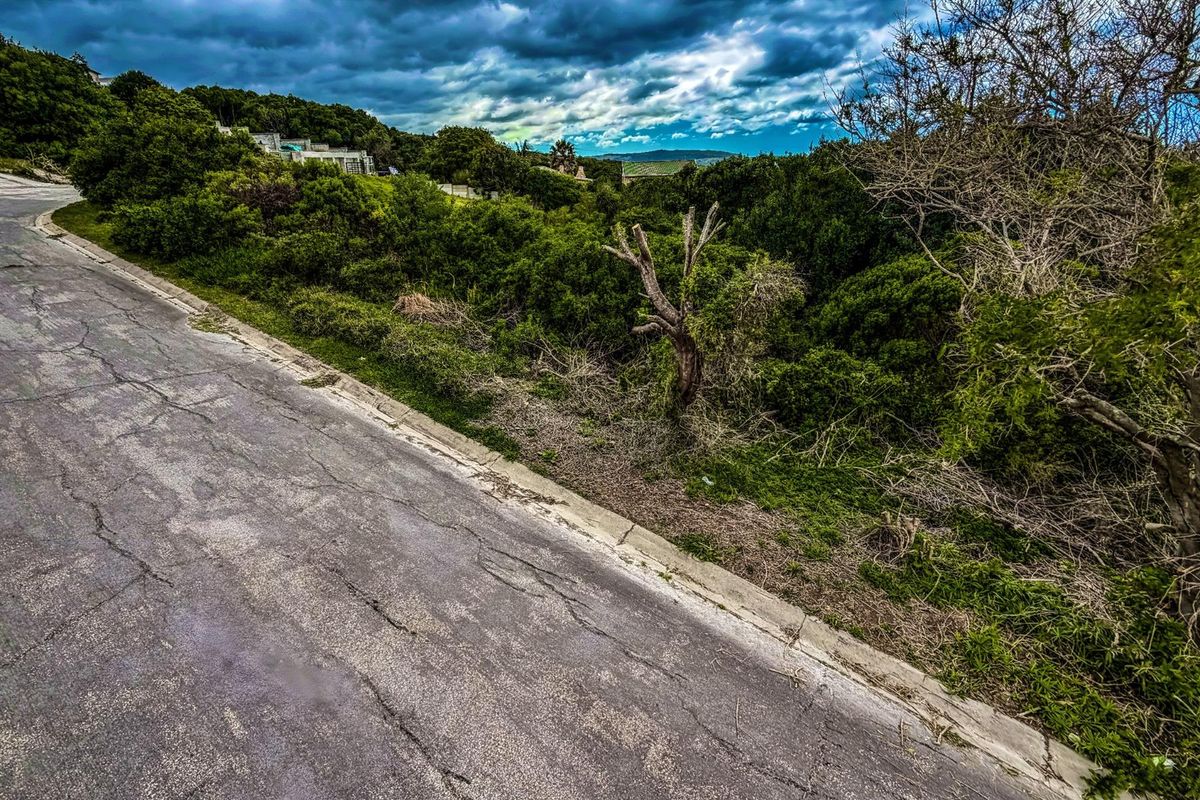 A view of the vacant residential land plot adjacent to an existing asphalt road, featuring natural vegetation and surrounding landscape.