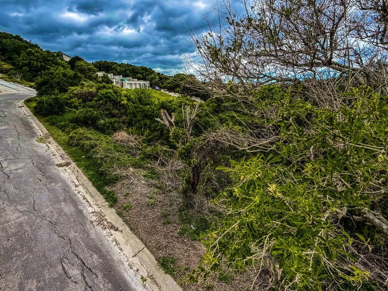 A view of a vacant residential plot featuring natural vegetation and bordering an existing asphalt road in a developing estate.