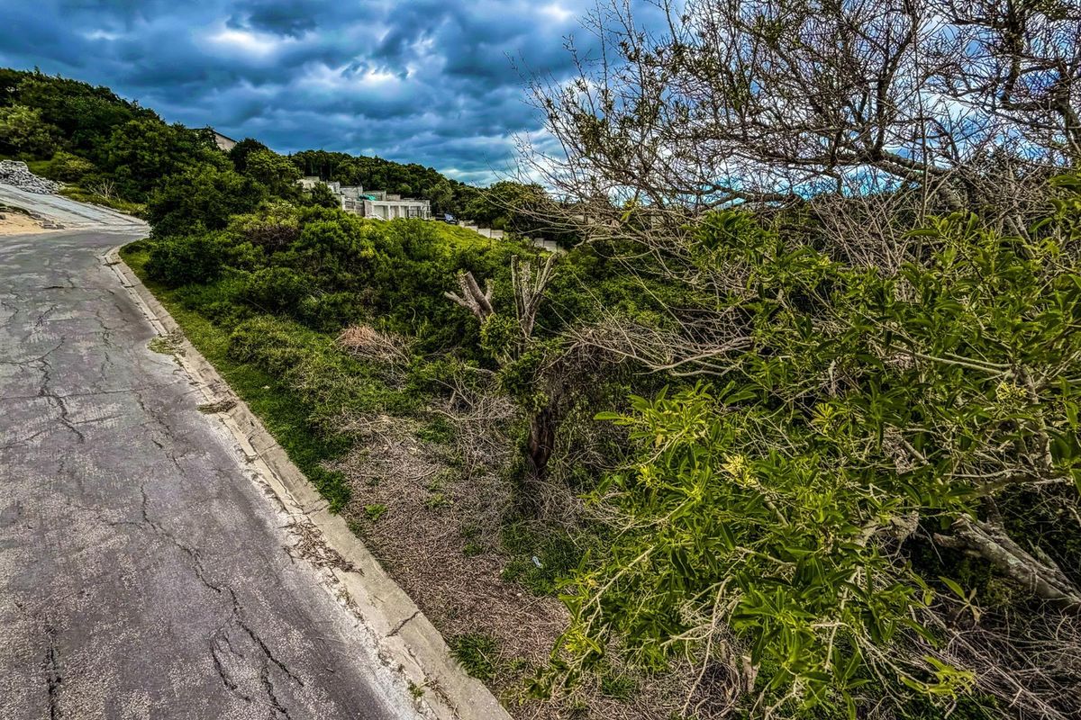 A view of a vacant residential plot featuring natural vegetation and bordering an existing asphalt road in a developing estate.