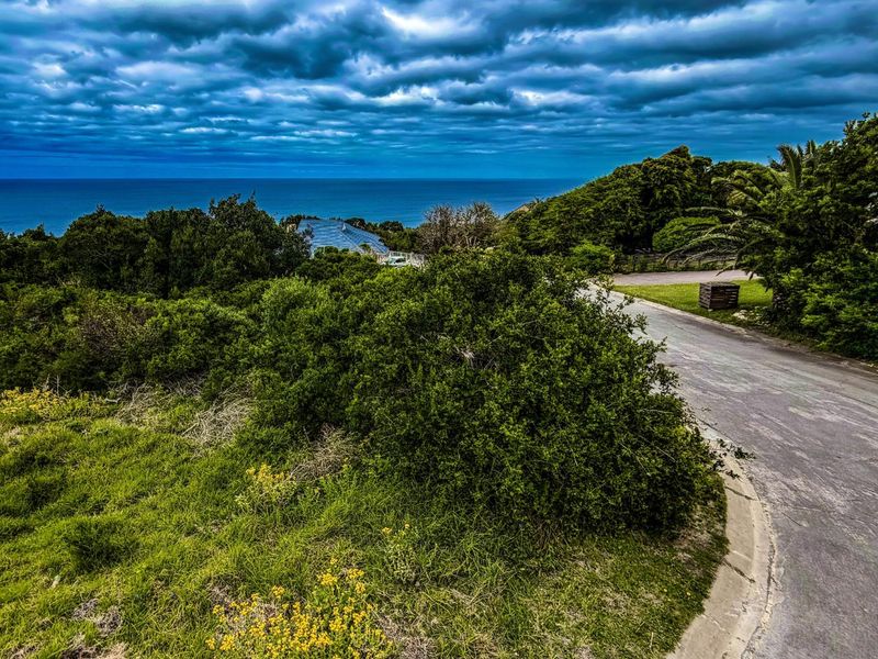 An elevated view of a vacant residential plot featuring natural vegetation, a paved access road, and distant ocean views under a cloudy sky.