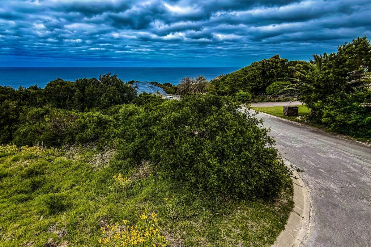 An elevated view of a vacant residential plot featuring natural vegetation, a paved access road, and distant ocean views under a cloudy sky.