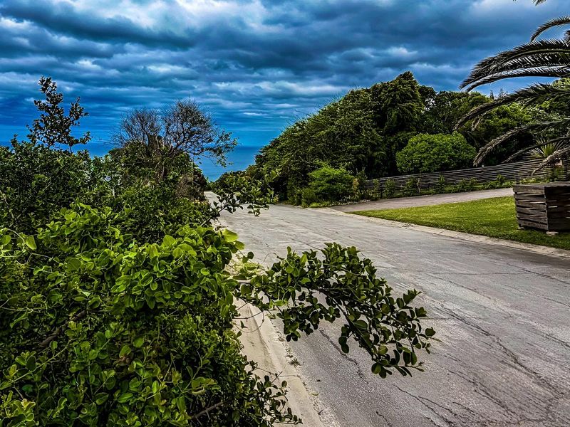 A view of the residential street approach, featuring established greenery, paved road surface, and a glimpse of the coastal landscape in the distance.