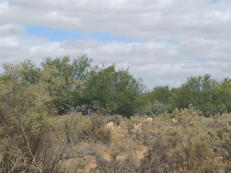 Farm For Sale in Ladismith Rural, Ladismith - Photo 4
