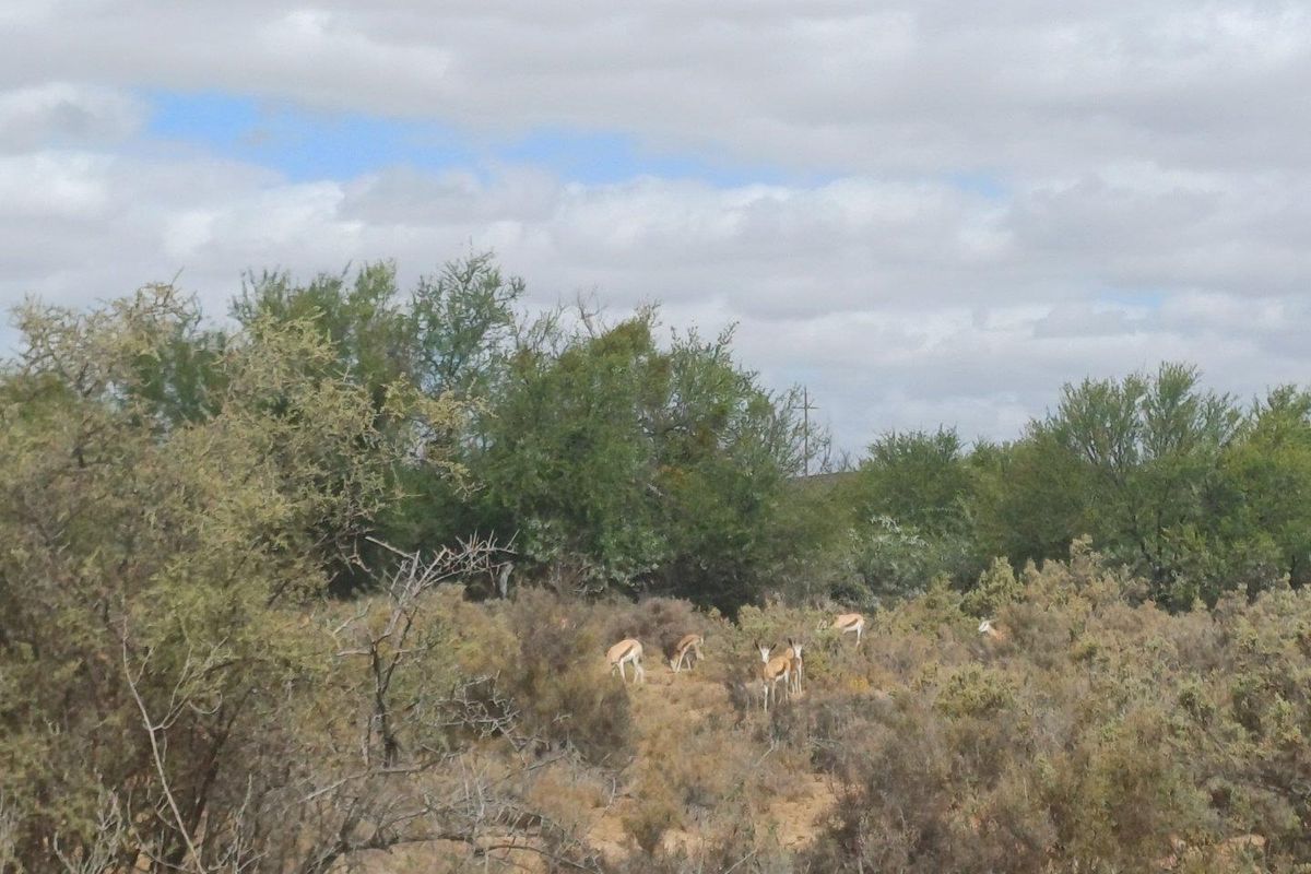 Farm For Sale in Ladismith Rural, Ladismith - Photo 4